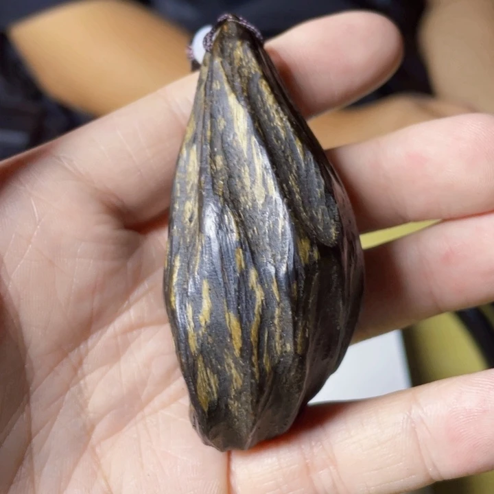 无非金属黑油虫漏
