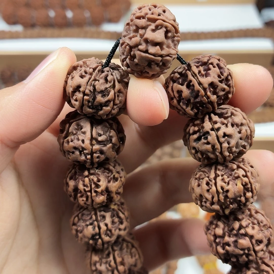 手串金刚菩提收藏版稀有精品6瓣天然纽扣