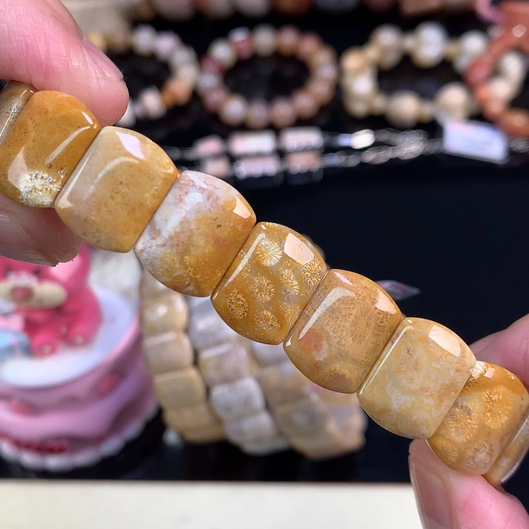 【闪购商品】颈饰未镶嵌硅化珊瑚（珊瑚玉）4号金灿灿