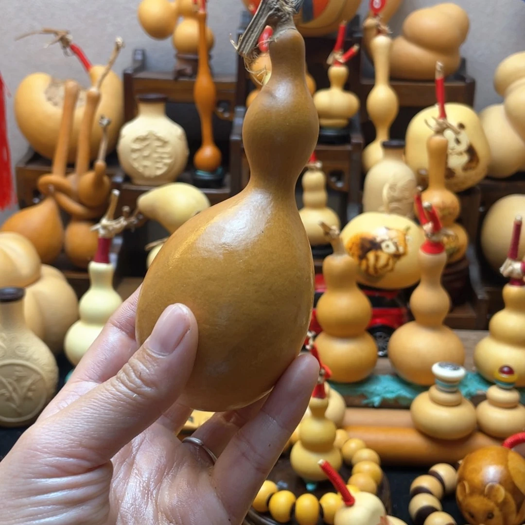 ?*城大自然的秘密第十节第二十