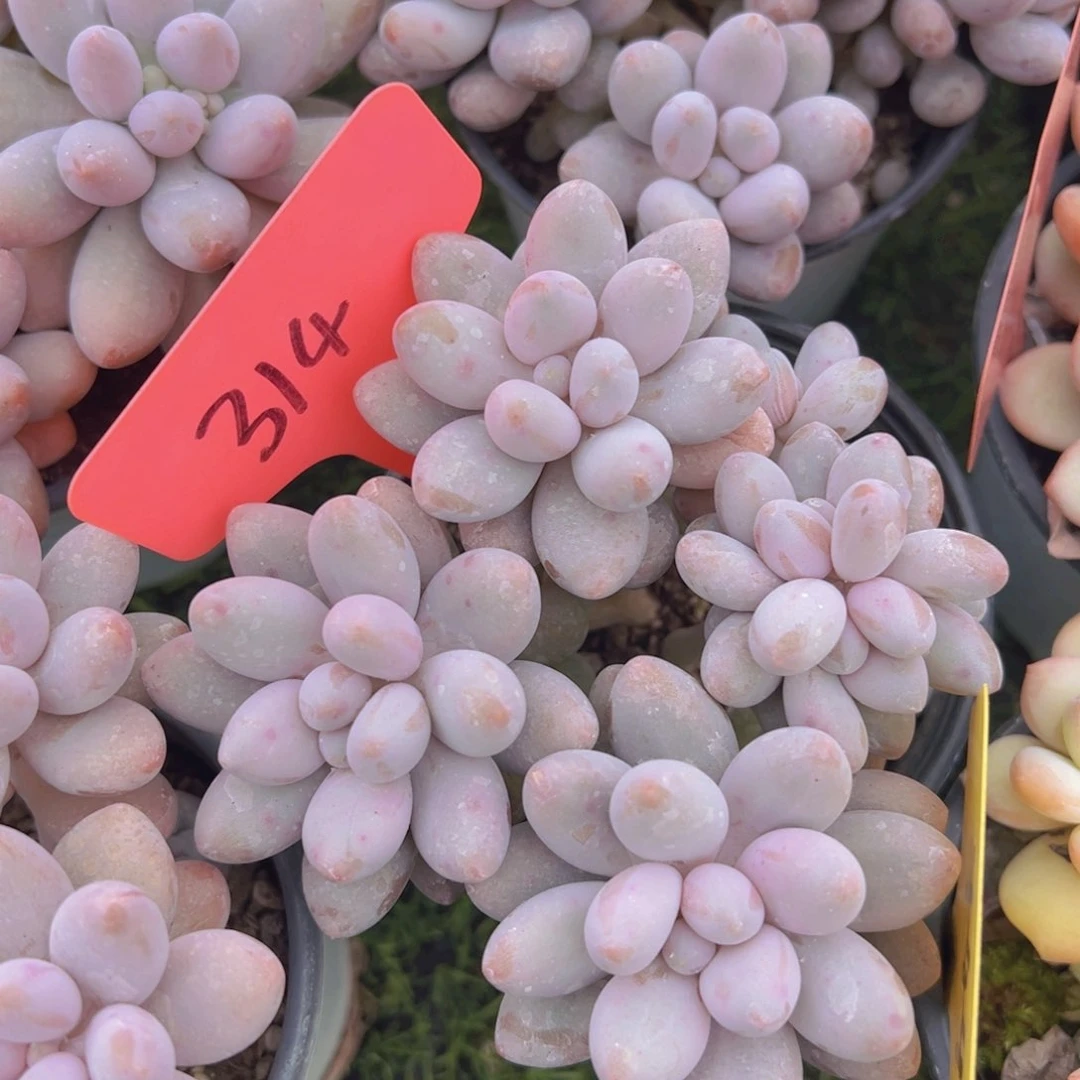 福利来了来了来了