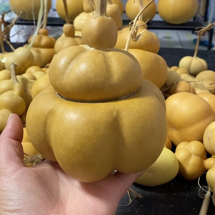 葫****坊葫芦的颜色是蓝色的还是