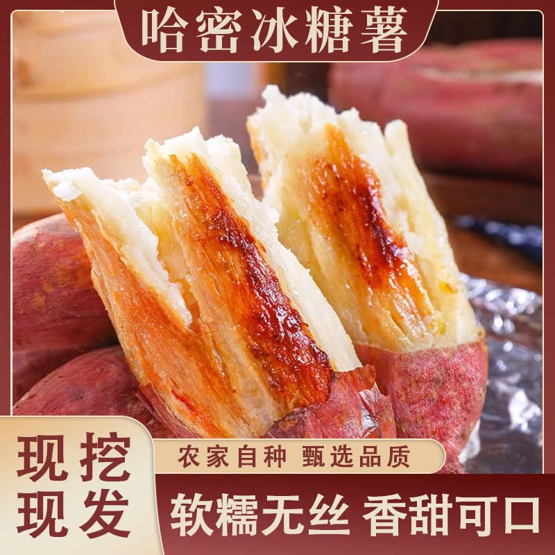 哈密冰糖薯新鲜现挖冰糖心白薯蜜薯软糯香甜绵密应季红薯3斤起