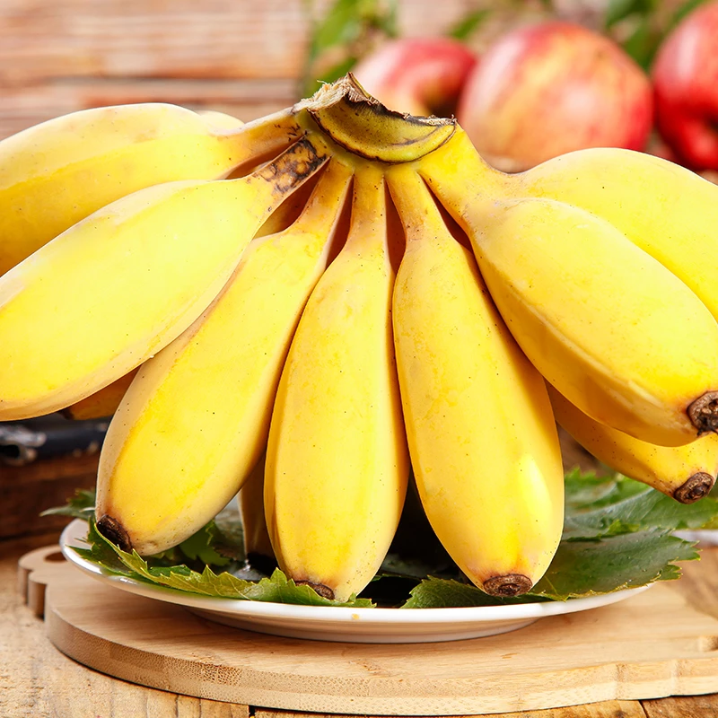 广西苹果蕉3斤约10-15根/4.5斤约18-28根（需催熟）