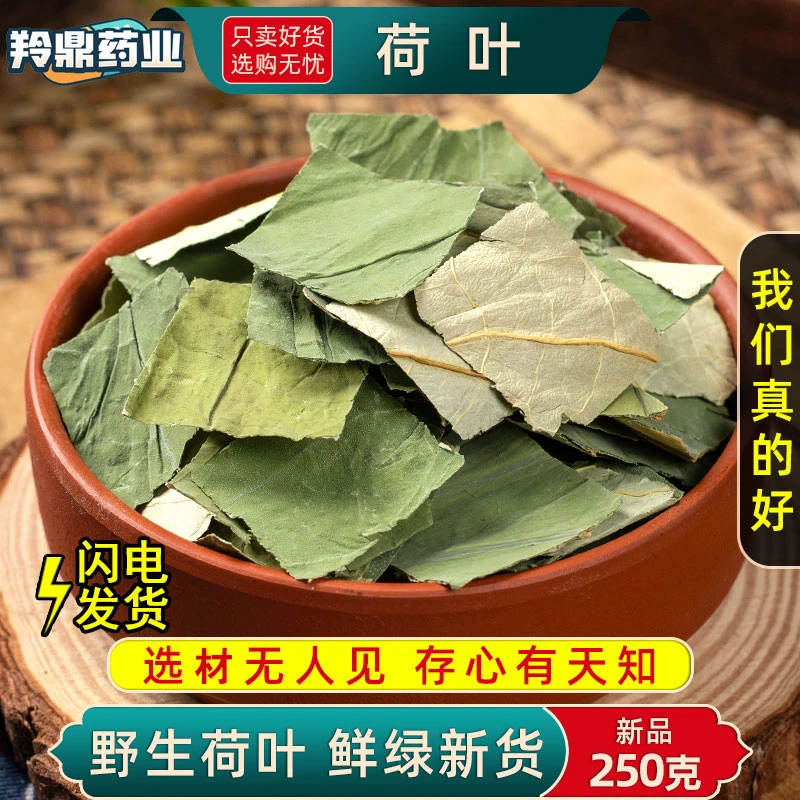 羚鼎药业【荷叶 荷叶茶】高品质 泡水荷叶 何叶 荷叶茶 配番泻叶