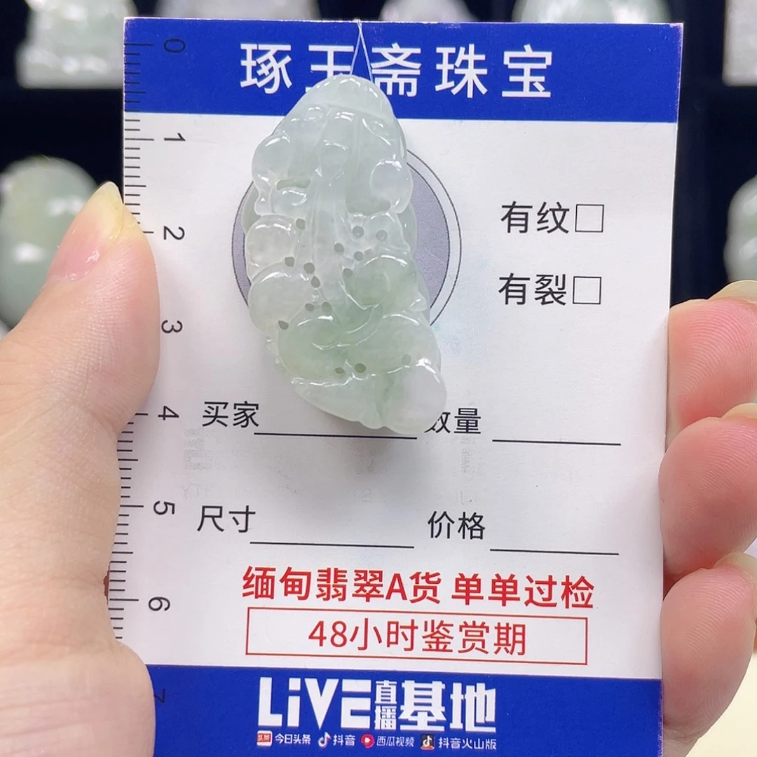 颈饰未镶嵌翡翠貔貅