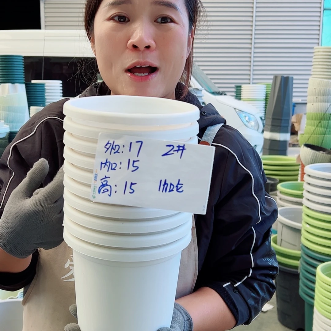 四季盆2#白色10个无托