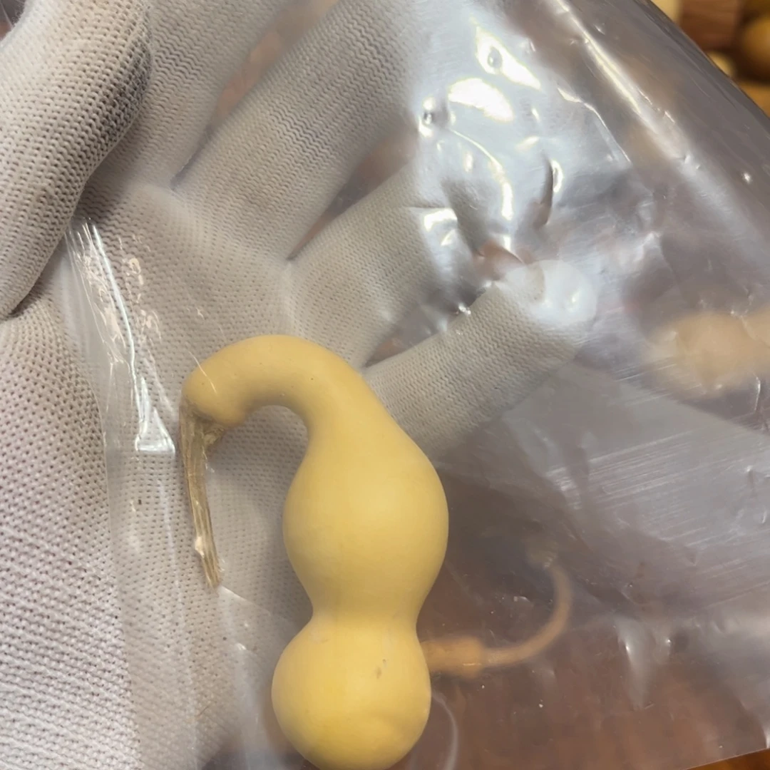 N***校文玩葫芦吊坠项链