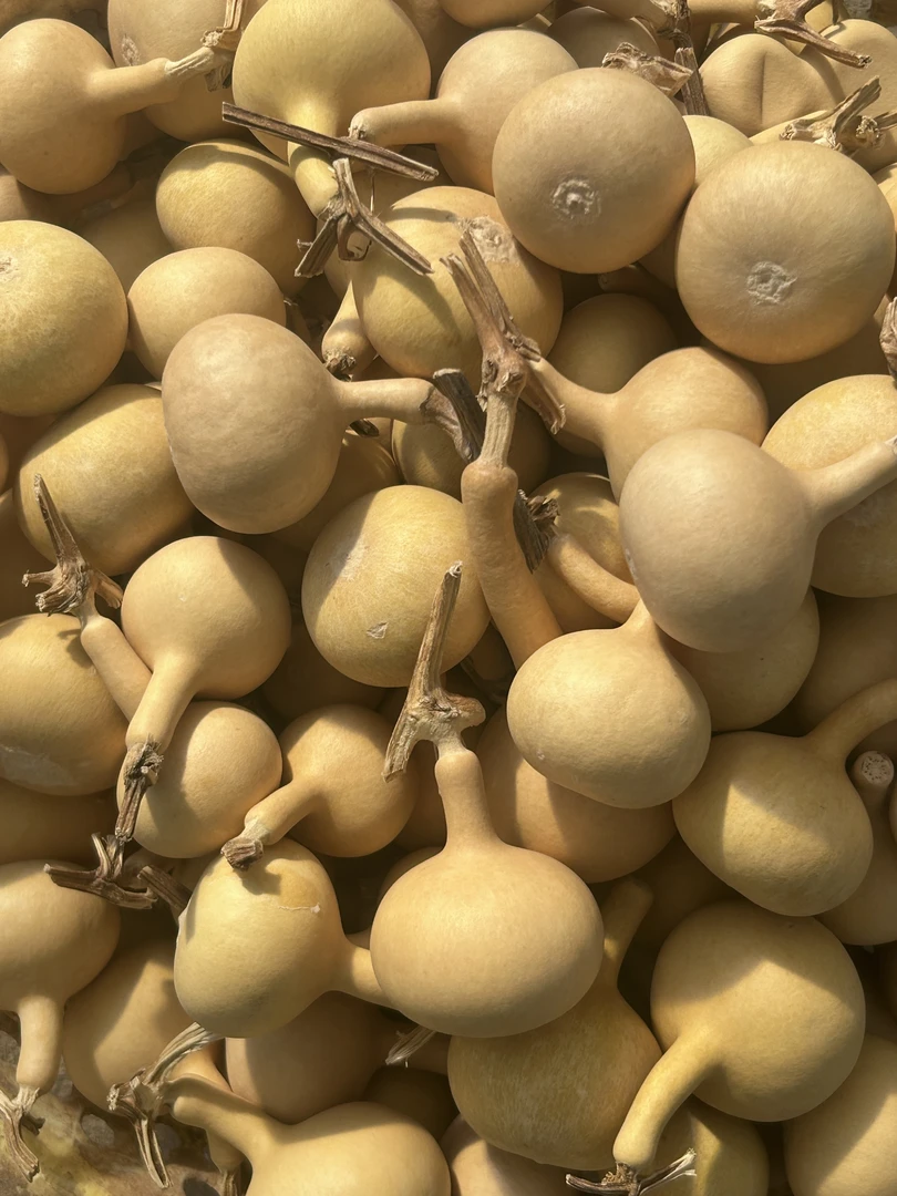 草里金独霸通货不挑不捡不退不换不保龙头介意勿拍