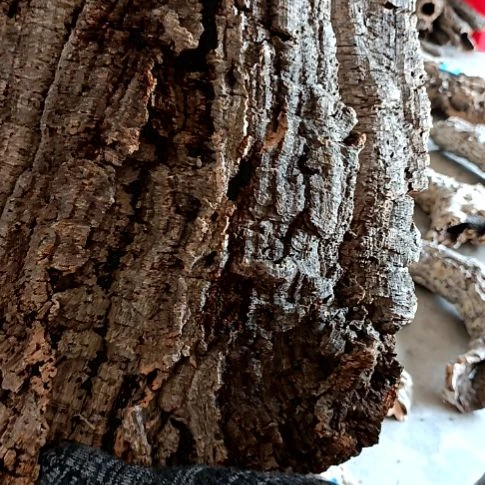 一物一拍一物一发