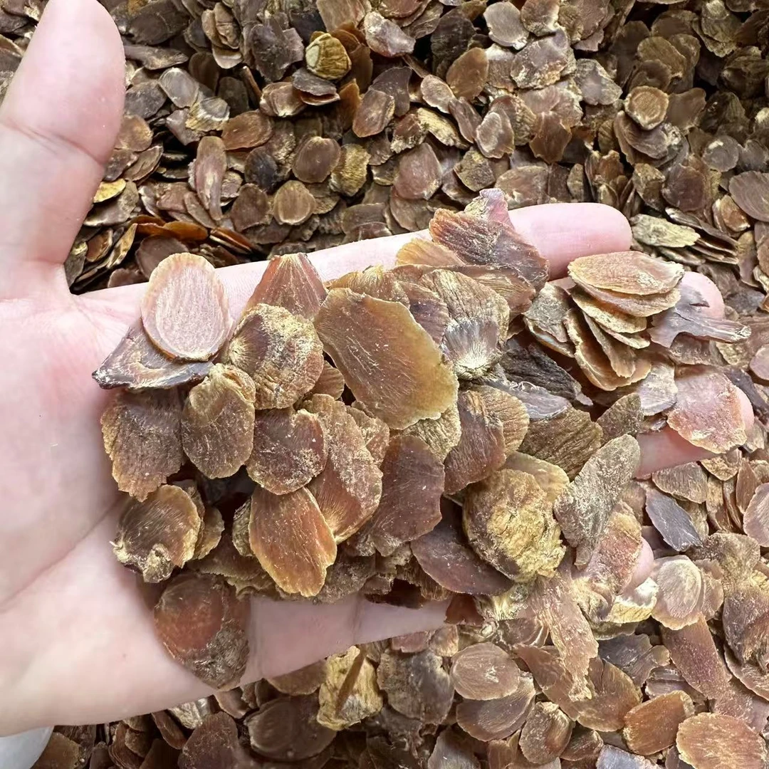 【益娜娜专属】红 片参 大片 100g