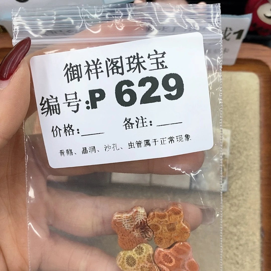 硅化珊瑚（珊瑚玉）P未镶嵌木*