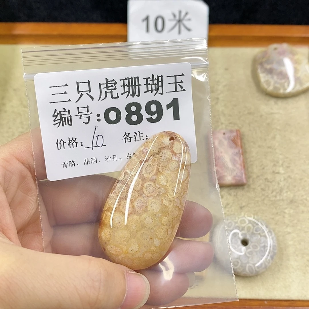 硅化珊瑚（珊瑚玉）1未镶嵌冯*