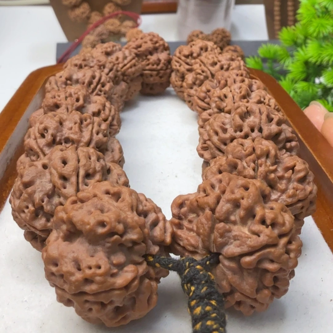 金刚菩提吊坠老安娜粗筋拉钩梅花王飞碟桩珍藏