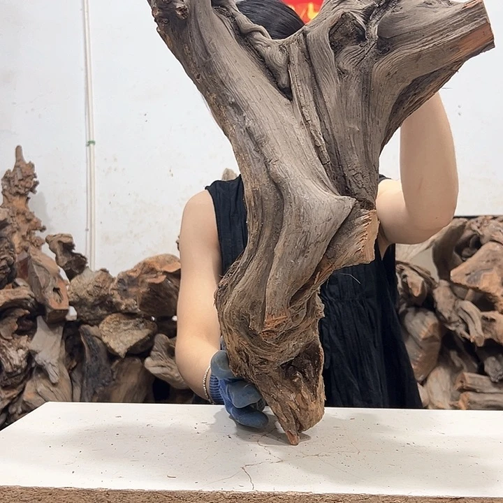 柏木精****》我们的生活也是