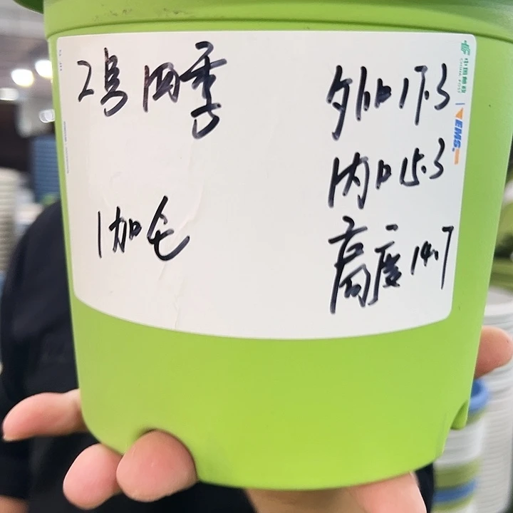 特价2号四季口17高14混色10个无托