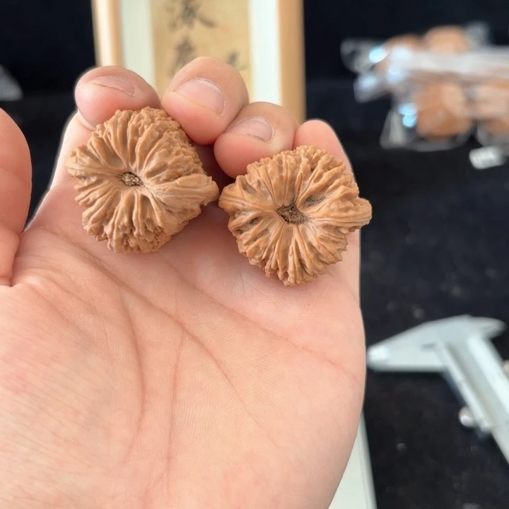 文玩核桃吊坠屋****人南将