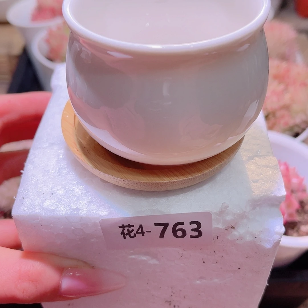 花利美4-763花盆2个