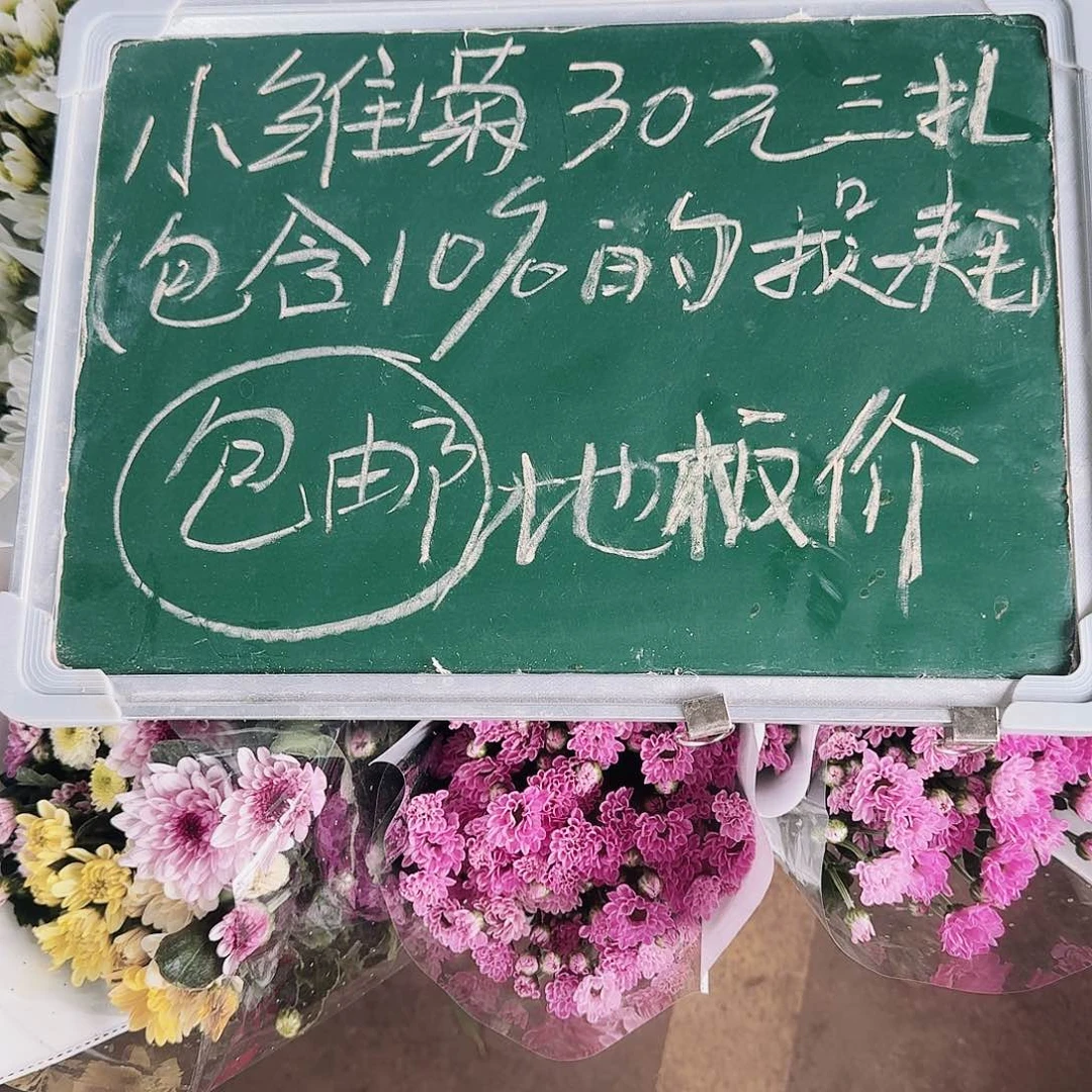 10枝/扎小雏菊，昆明直发颜色丰富花期超长性价比高