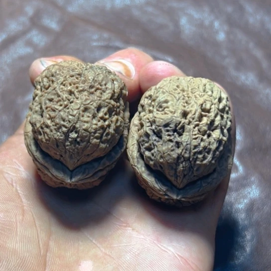 把件文玩核桃35号粗筋大嘴卡42.5