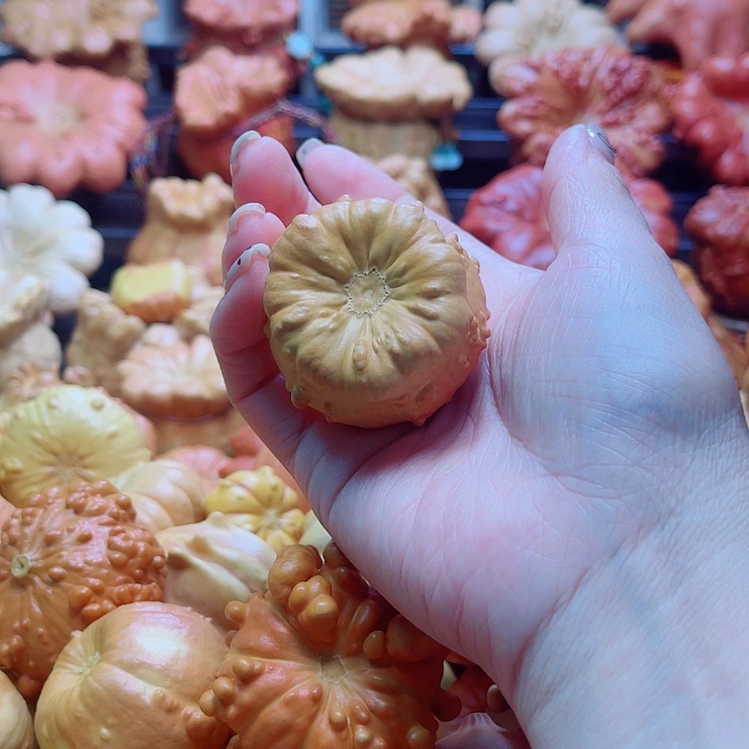 橙***橙陶瓷墨西哥葫芦可盘可摆