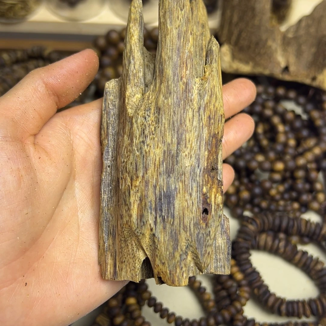 沉香沉香碎屑虫漏