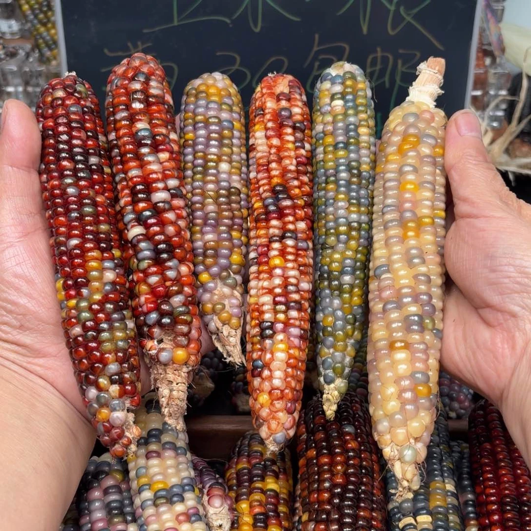 柏香籽/百香籽吊坠嗯*嗯