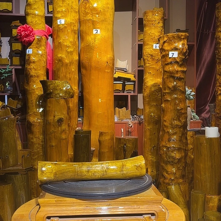 超***鸿金丝楠小叶桢楠金丝楠