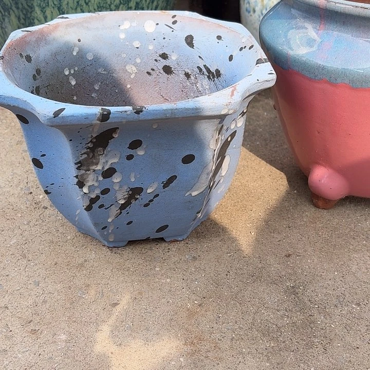 口21高15瑕疵一个盆子。