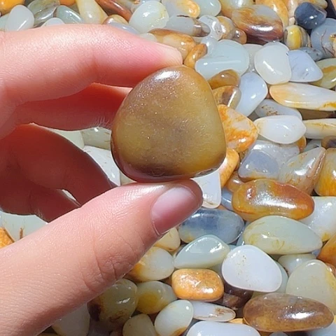 和田玉（糖玉）未镶嵌颈饰18.5克