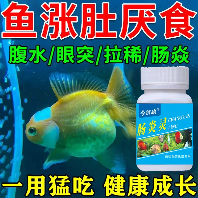 鱼肚子肿胀怎么急救肠炎灵鱼拉稀白便肛门红肿拖便腹水鱼缸专用