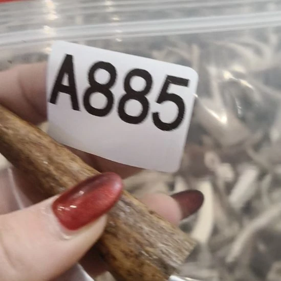 為***齋鹿角鹿角鹿角鹿角鹿角