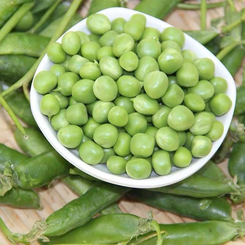 【满5包包邮】【豌豆和荷兰豆可选】甜脆豌豆吃豆菠菜蔬菜种子
