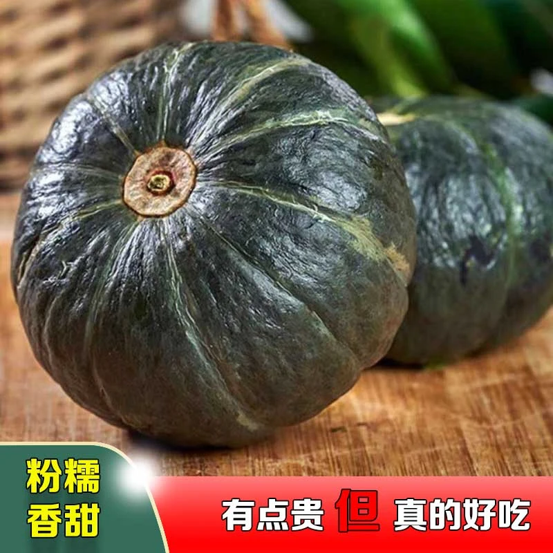 C正宗山东潍坊麻籽 贝贝南瓜粉糯香甜板栗味现摘现发