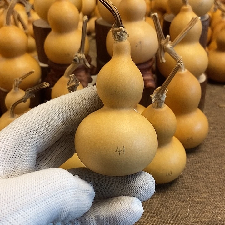 文玩葫芦 完美主义者 慎拍41