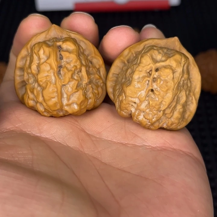 文文核桃蛤蟆头手扒件