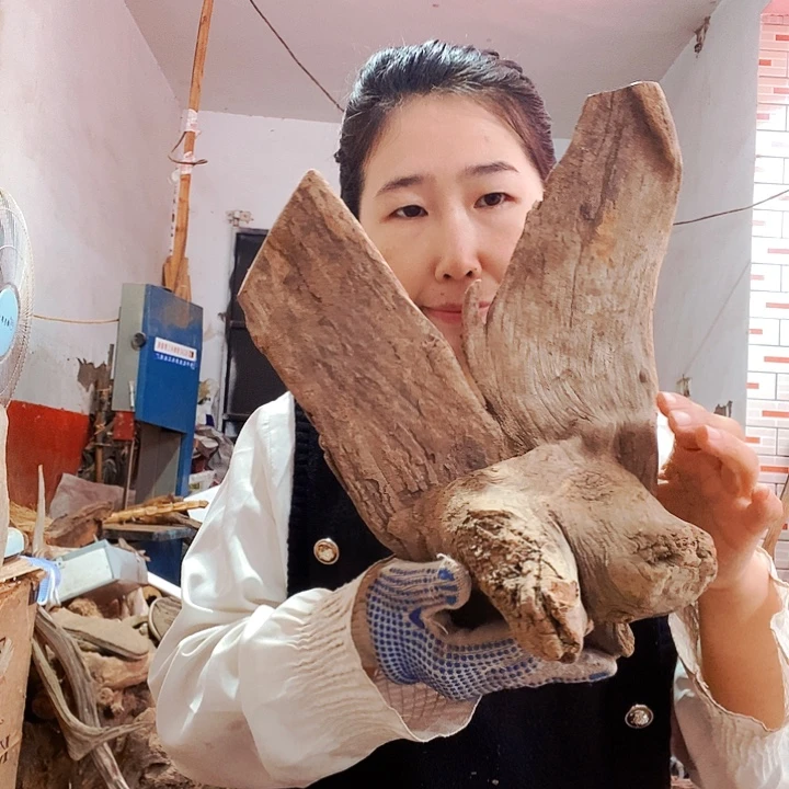 有***人香榧木太行太行大峡谷