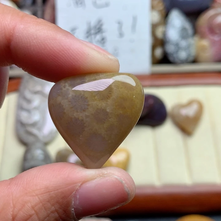 硅化珊瑚（珊瑚玉）颈饰未镶嵌