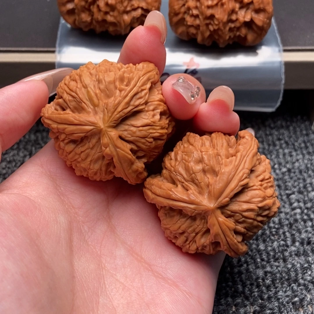 *****木质类白狮子正奔