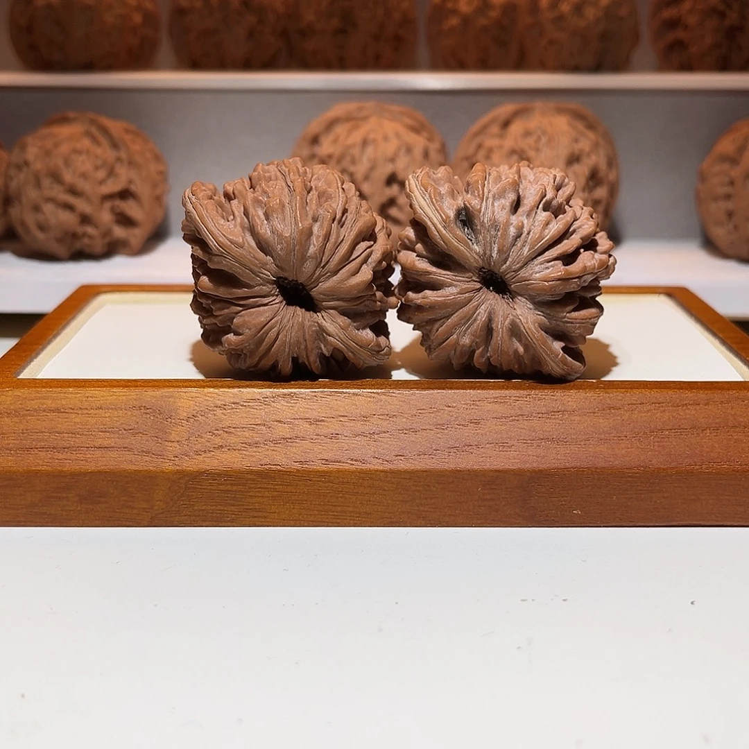 45菊花底四座楼……