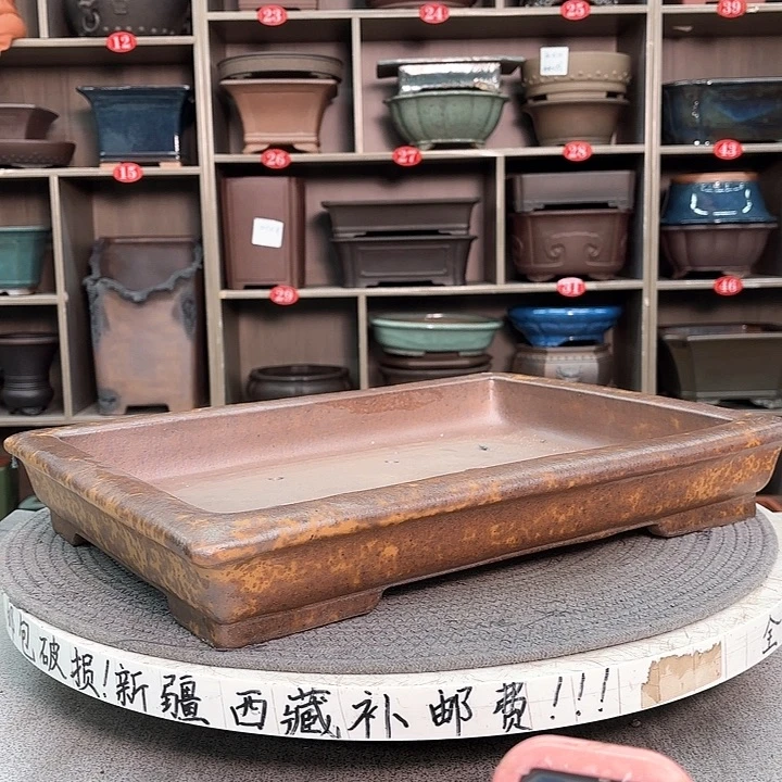 紫砂花盆C****活紫砂的花也太美