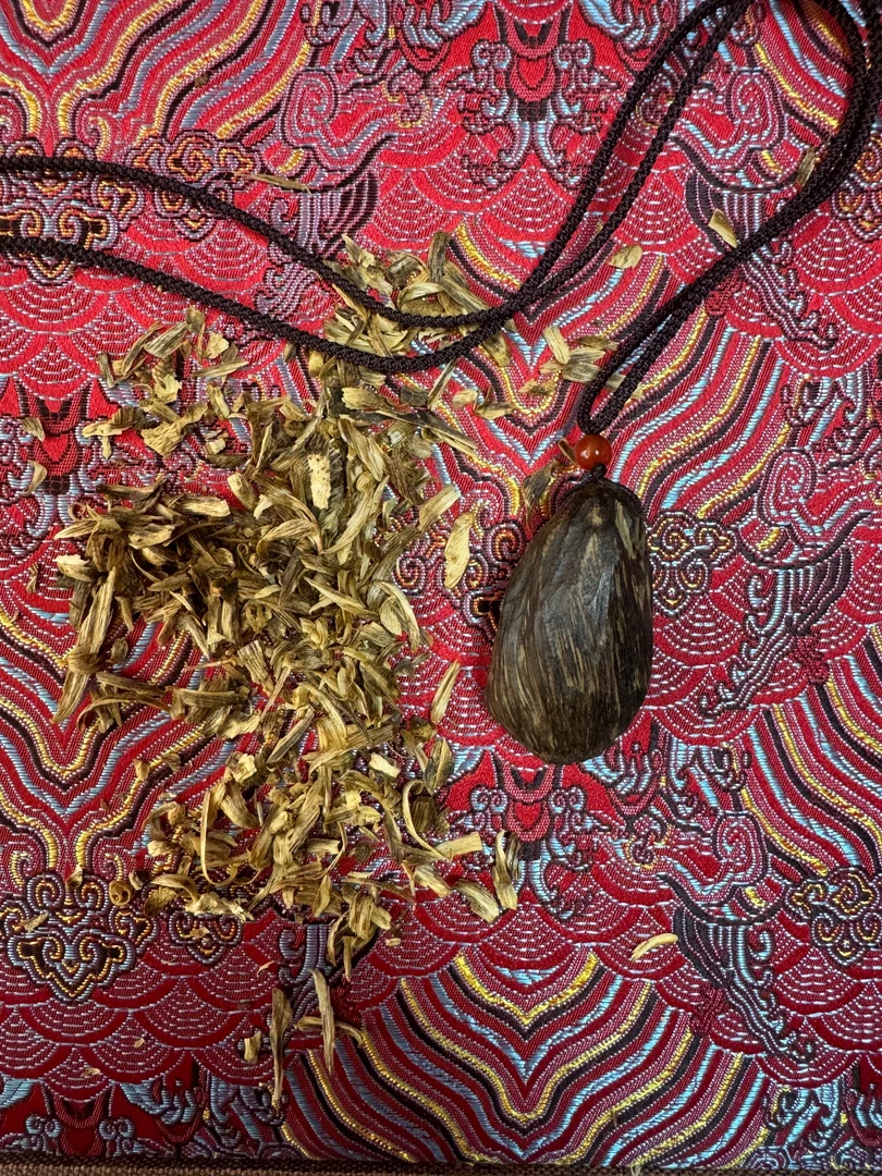 B26馆藏海南尖峰岭随行老料