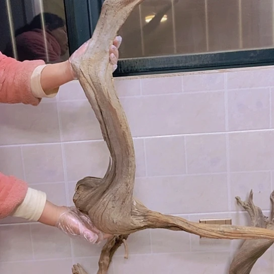 柏木忘**殇陈化到位坨坨疙瘩