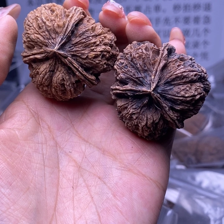 核桃云南野生铁核桃76号40mm