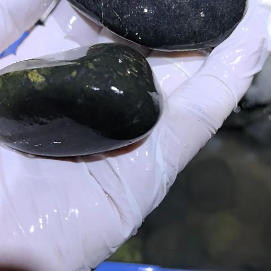 手***9藏玉药王石原石2个