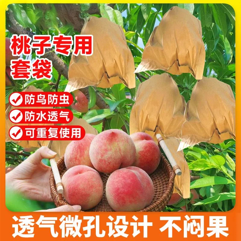 桃子通用套袋桃袋油桃毛桃黄桃套袋透气水果套袋果袋水蜜桃袋防虫