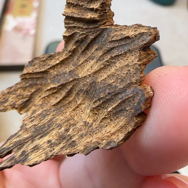 沉香摆件海南尖峰岭沉水包头0.9克