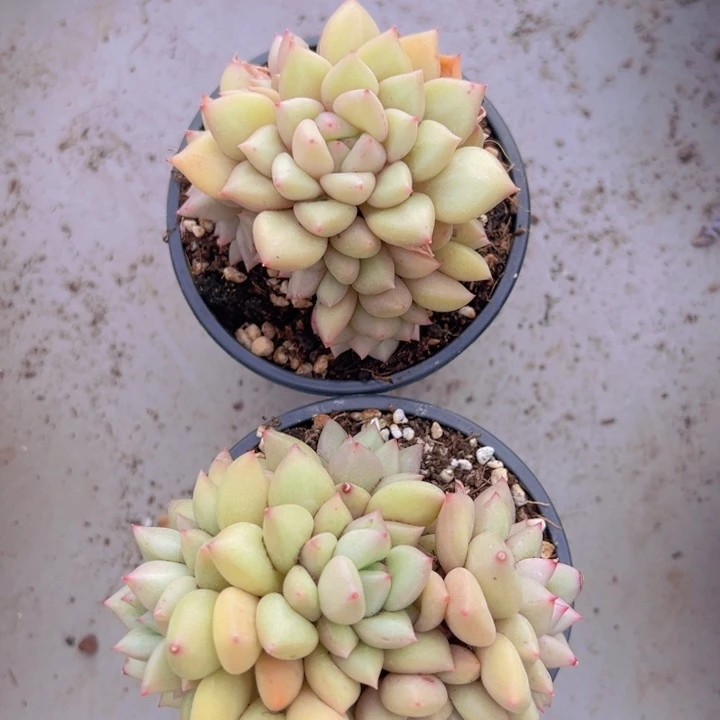 健健康康平平安安