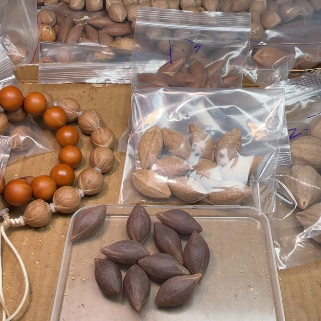 啊***哦手串/手链橄榄核1