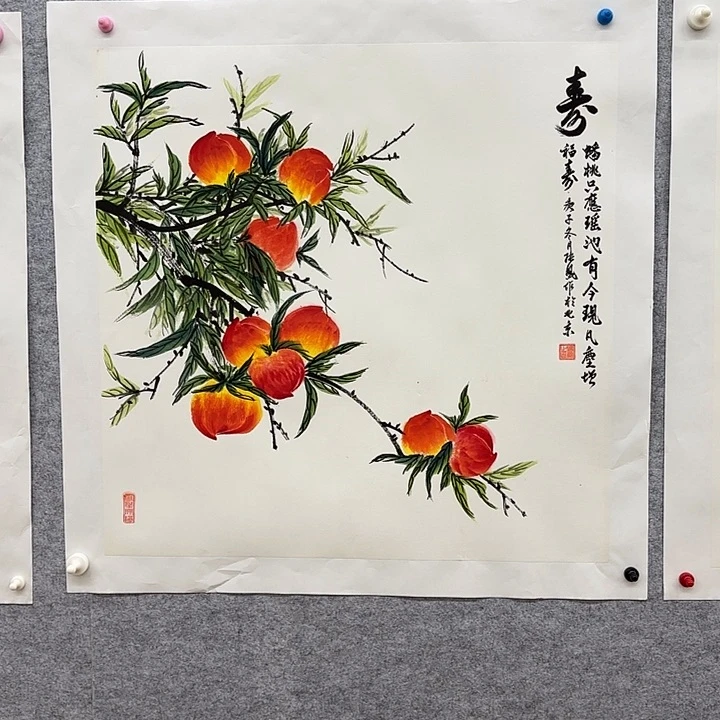 国画花鸟的翅膀和翅膀是白色70.70